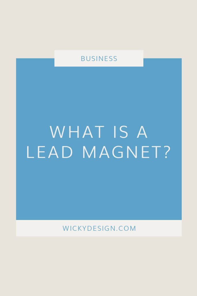 What is a lead magnet?