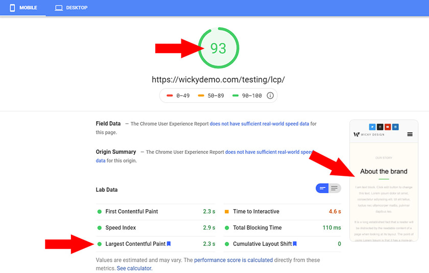 Google Page Speed Insights High Score